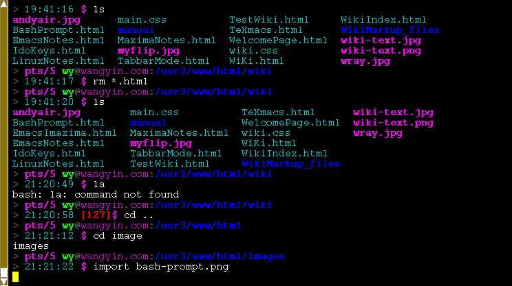 bash prompt in rxvt